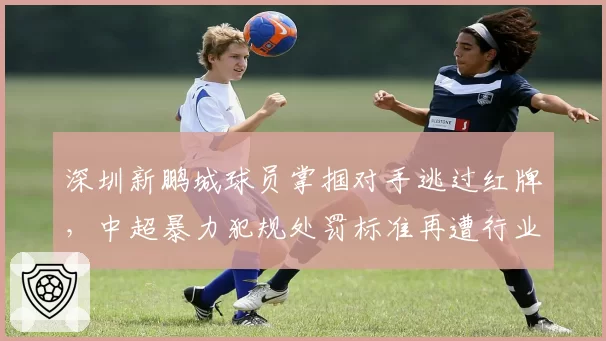 深圳新鹏城球员掌掴对手逃过红牌，中超暴力犯规处罚标准再遭行业质疑