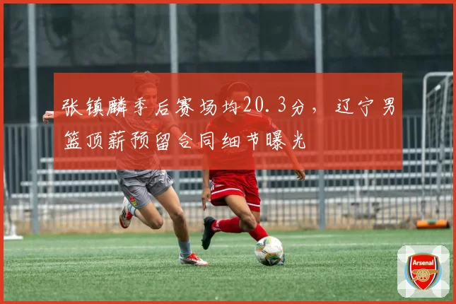 张镇麟季后赛场均20.3分,辽宁男篮顶薪预留合同细节曝光