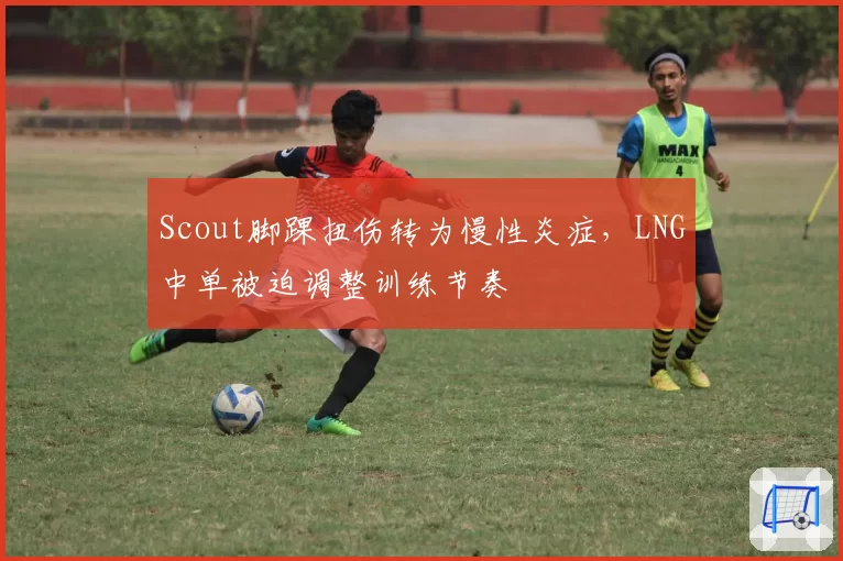 Scout脚踝扭伤转为慢性炎症，LNG中单被迫调整训练节奏