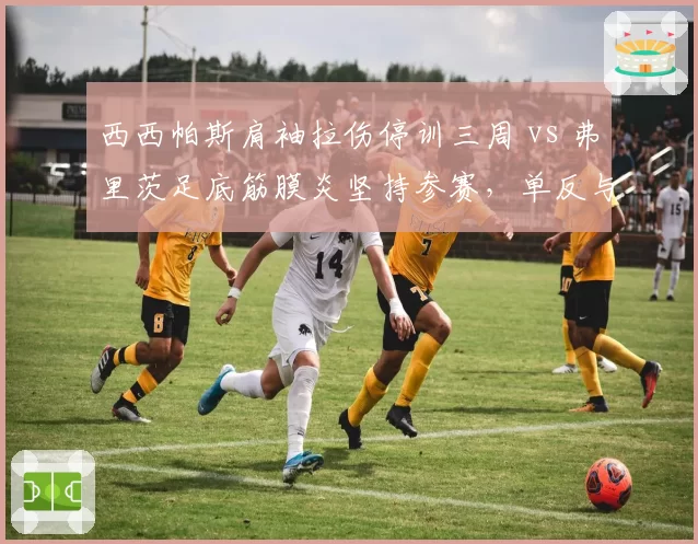 西西帕斯肩袖拉伤停训三周 vs 弗里茨足底筋膜炎坚持参赛，单反与暴力发球在伤病阴影下的权衡