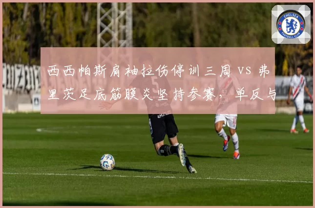 西西帕斯肩袖拉伤停训三周 vs 弗里茨足底筋膜炎坚持参赛，单反与暴力发球在伤病阴影下的权衡